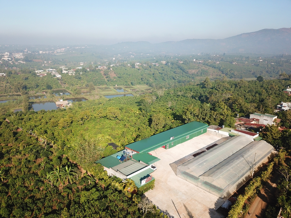 Trang trại và xưởng chế biến cà phê đặc sản được bố trí khoa học, thân thiện với môi trường